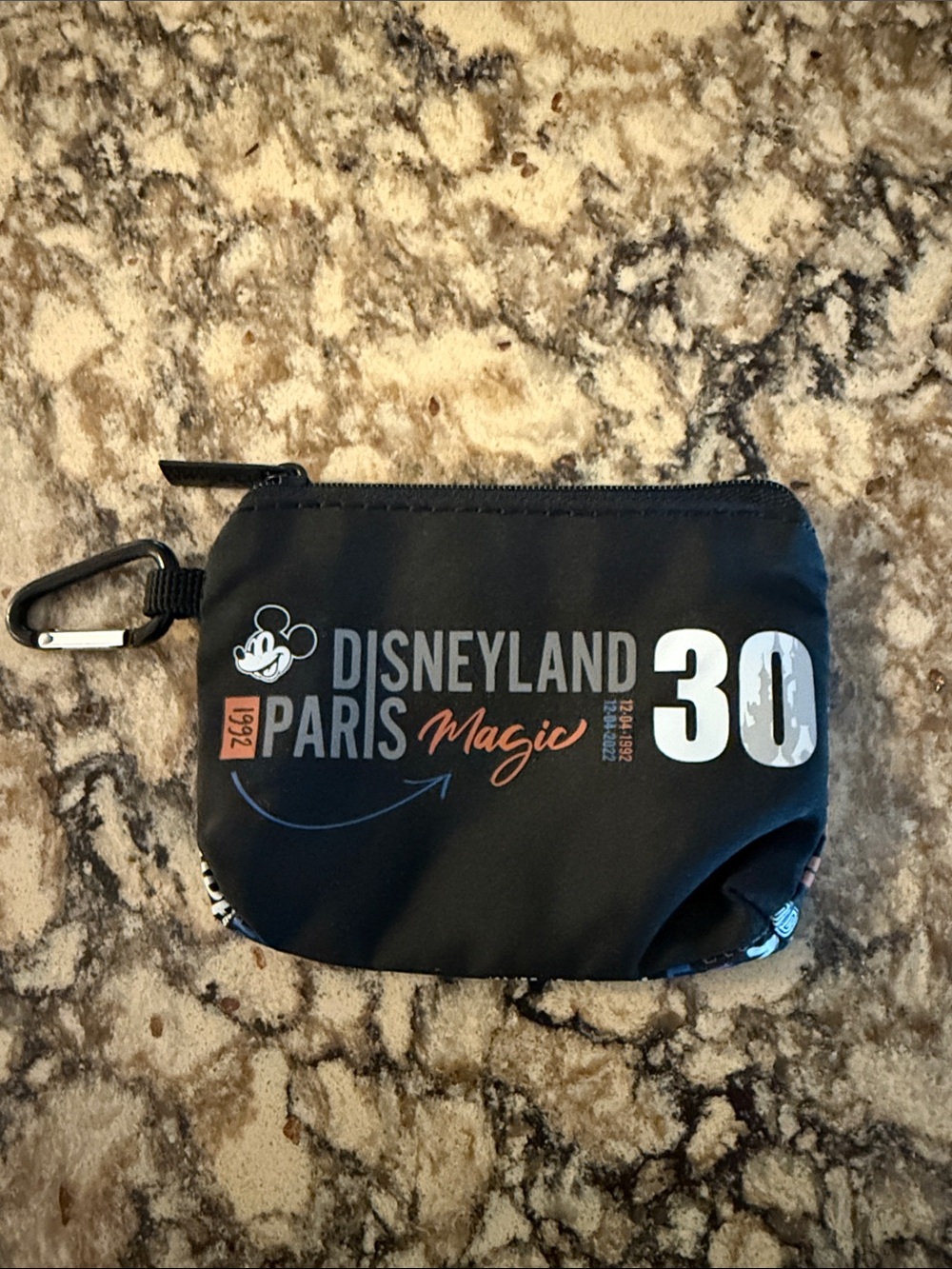 Disneyland Paris 30th anniversary Black Zip Pouch